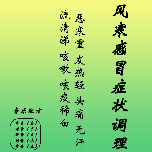 商-风寒感冒C