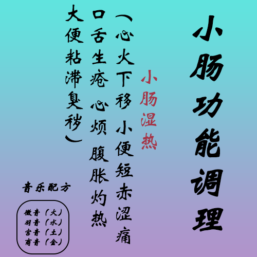 徵-小肠A-2
