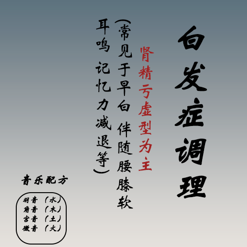 美容-白发症调理A-肾精亏虚
